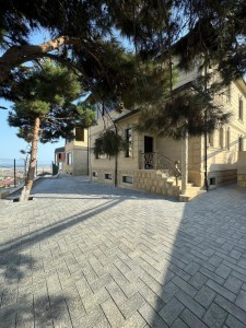 image 376820