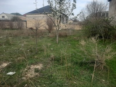 image 376821