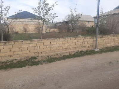 image 376821