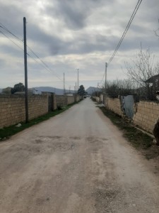 image 376821
