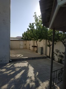 image 376823