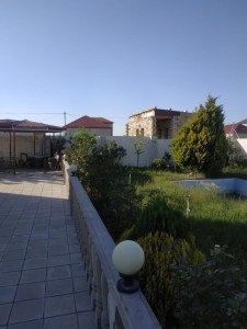 image 376823