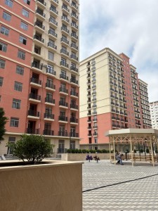 image 376849