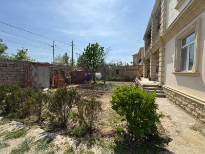 image 376851