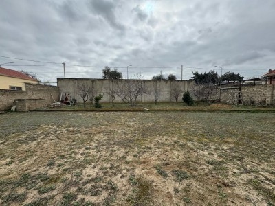 image 376864