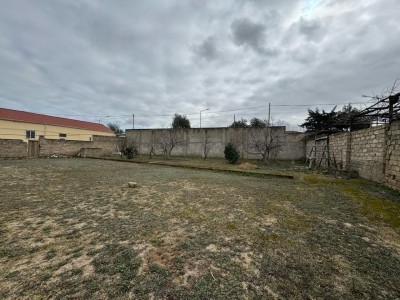 image 376864
