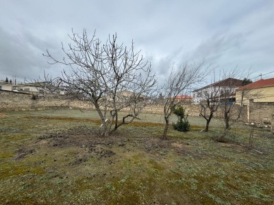 image 376864