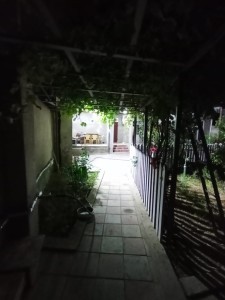 image 376894