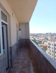 image 376899
