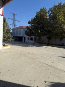 image 376905
