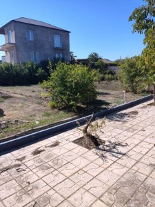image 376917