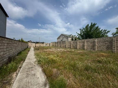 image 376925
