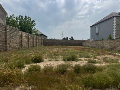 image 376925