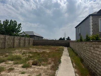 image 376925