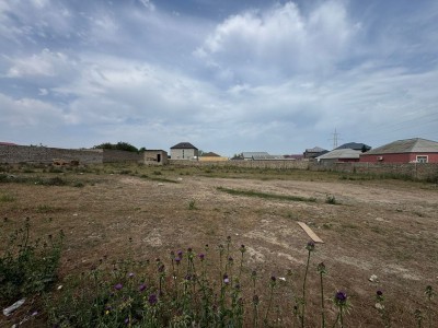 image 376935
