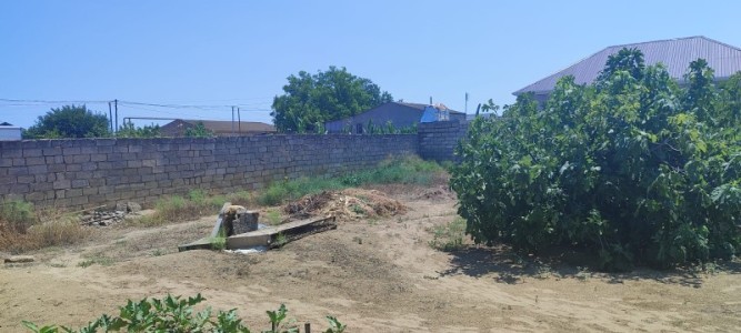 image 376950
