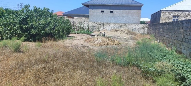 image 376950