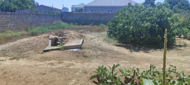 image 376950