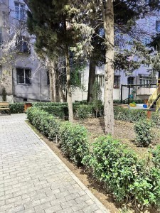 image 376953