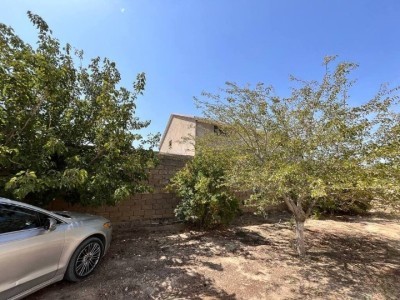 image 376965