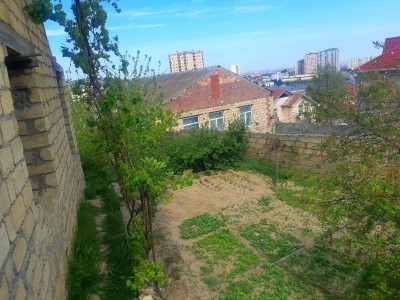 image 376966