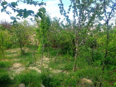 image 376966