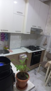 image 376978