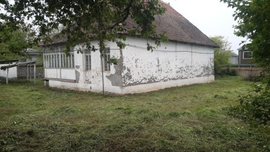 image 377000