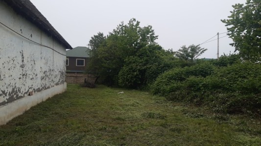 image 377000