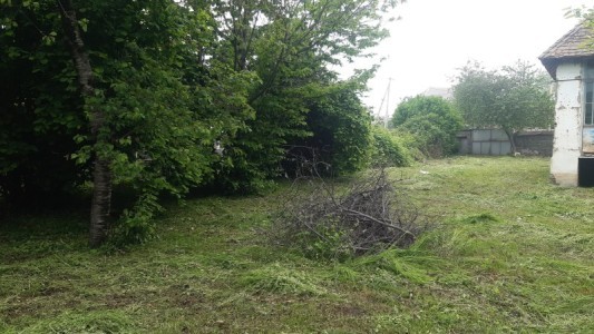 image 377000