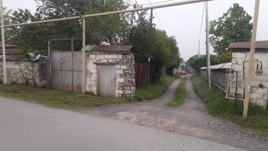 image 377000