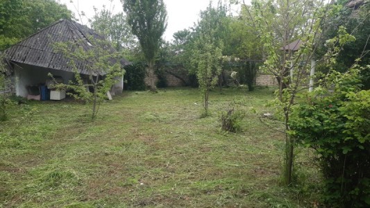 image 377000