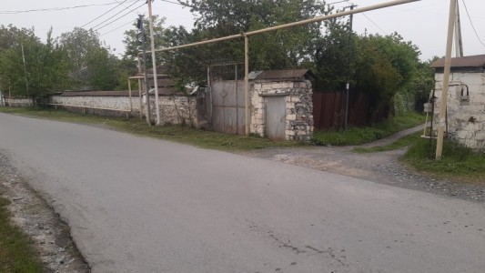 image 377000