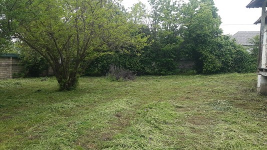 image 377000