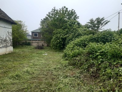 image 377000