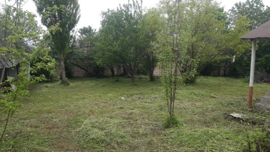 image 377000