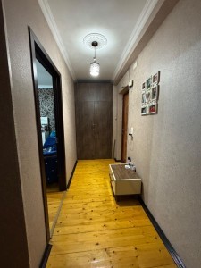 image 377006