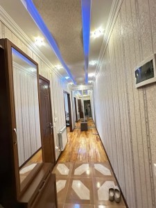 image 377012