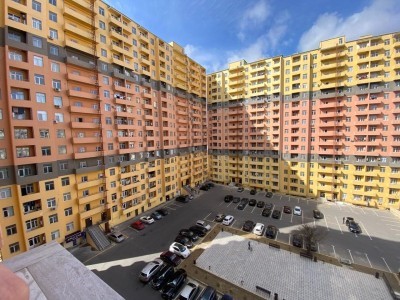 image 377019