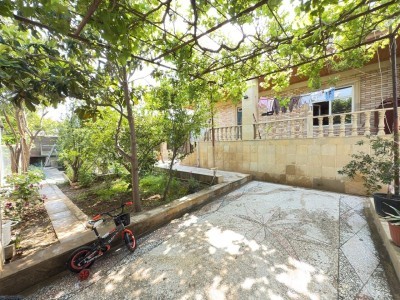 image 377024
