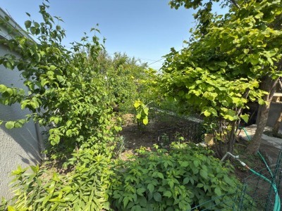 image 377024
