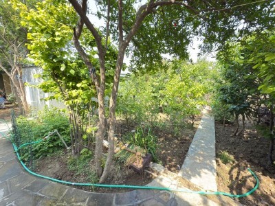 image 377024