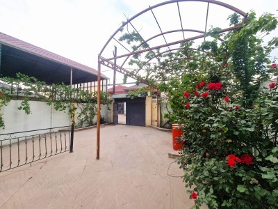 image 377045
