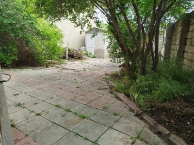 image 377053