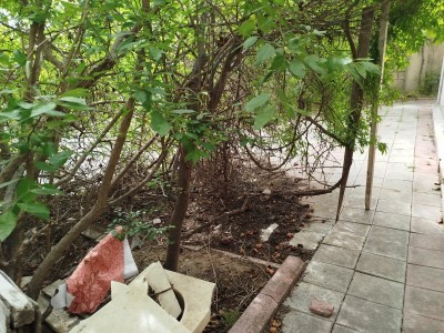 image 377053
