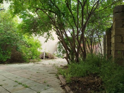 image 377053