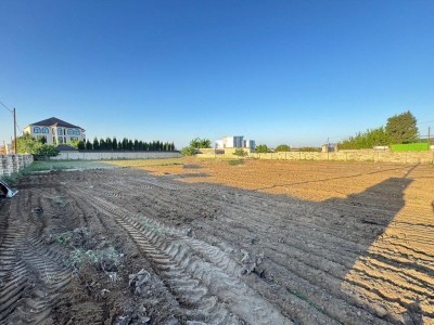 image 377060