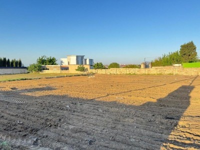 image 377060