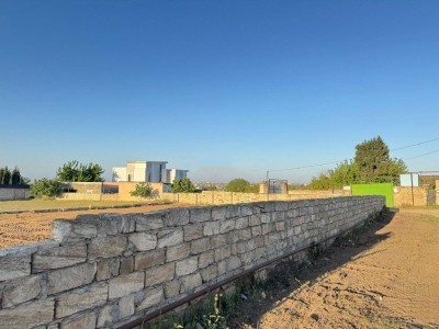 image 377060