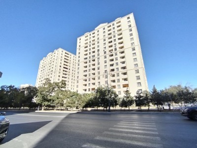 image 377062